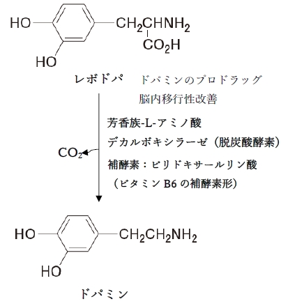 108回薬剤師国家試験問171　プロドラッグとその親化合物及びプロドラッグ化の目的